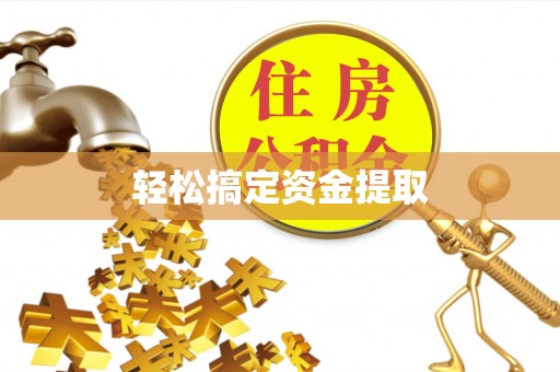 员林轻松搞定资金提取